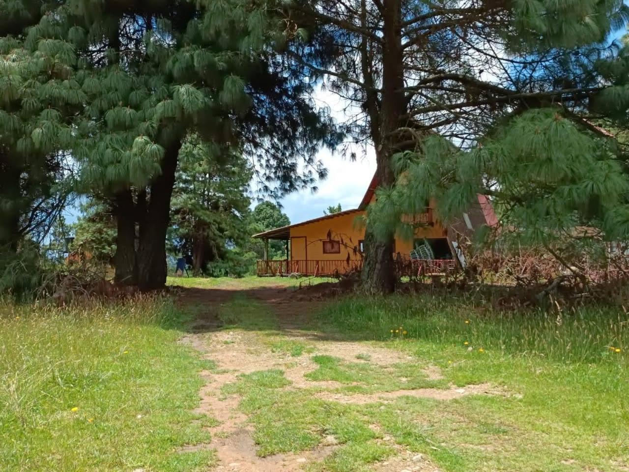 Chalets Amarelo Suesca Ngoại thất bức ảnh